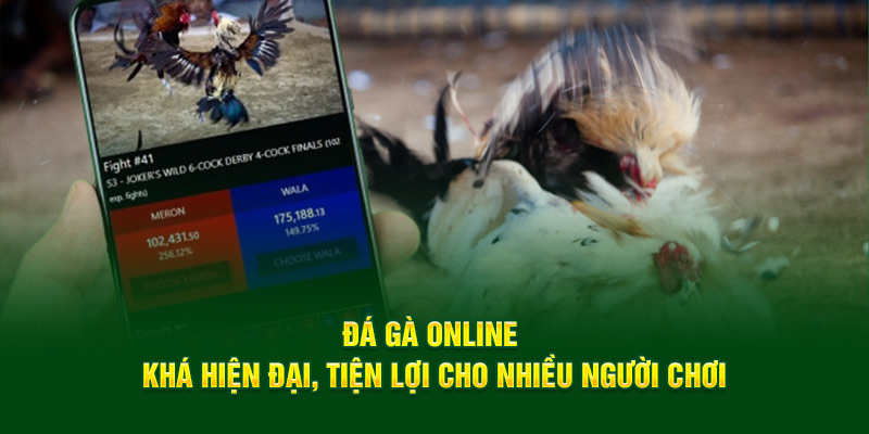 Đá gà online khá hiện đại, tiện lợi cho nhiều người chơi